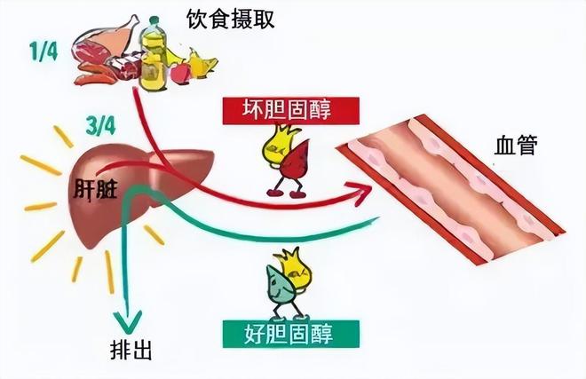 牌无糖月饼真的无糖吗？九游会真人游戏第一品(图7)